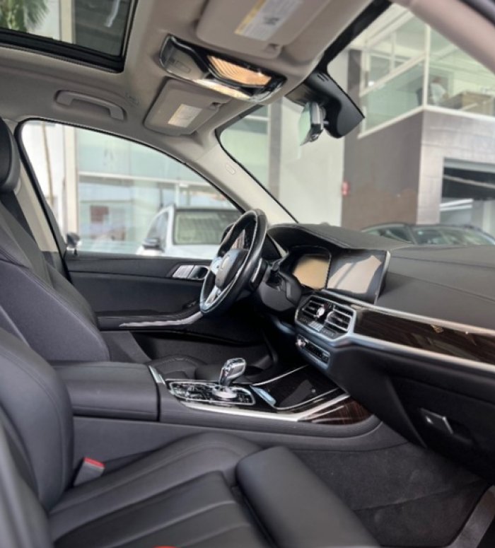 Foto 6 de 2019 BMW X 7 XDRIVE 40I